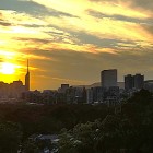 ⑥	福岡城から見えた夕陽とドーム