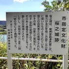 ②	桜之城説明