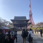 増上寺(  ･᷄ㅂ･᷅)