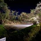 夜🌸花いかだ
