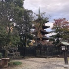 上野(  ･᷄ㅂ･᷅)