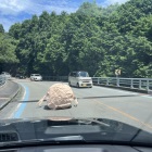 アホな解体屋が目の前で、落としていったヤツ