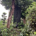 中には石碑しかない🪨