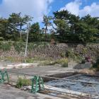 復元整備途中の扇の芝（2023/10/28撮影）