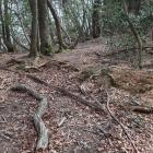北東尾根先端の土塁