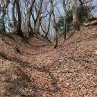 横堀状の城道（主郭南側）