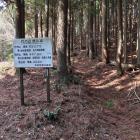 林道からの登城口