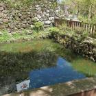 お福池