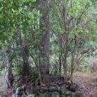虎城山公園記念碑