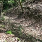 主郭部北面の畝状空堀群