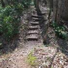 南東尾根の堀切２