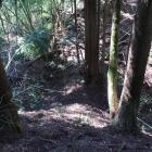 尾根の上方から大堀切を見下ろす