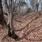 横堀状の城道（主郭北側）