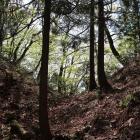 北東尾根を断ち切る堀切