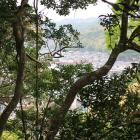 本丸北西上段から古座川を&hellip;木々で見渡せず