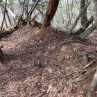 主郭北辺の土塁