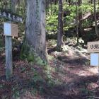 小見放城登城口（馬出ルートからの分岐）