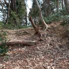 南西尾根の土塁