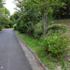 公園外周