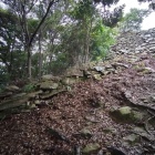 一の丸の虎口(後)から落ちる石塁
