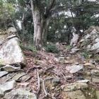 二の丸虎口