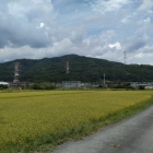 麓から東野山城を望む