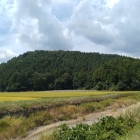堂木山