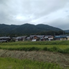 南から