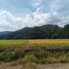 神明山