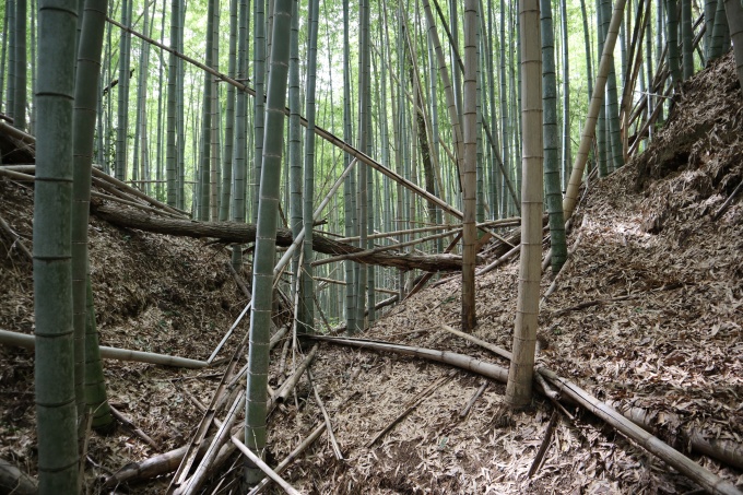 主郭南の堀切