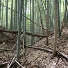主郭南の堀切