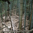 南の横堀