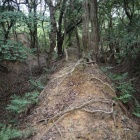 ２重横堀