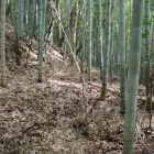 主郭北側の堀切跡