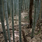北の横堀