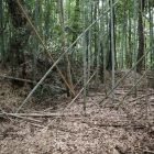 主郭土塁