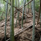 主郭の切岸