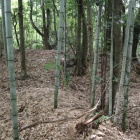 主郭北側の土塁