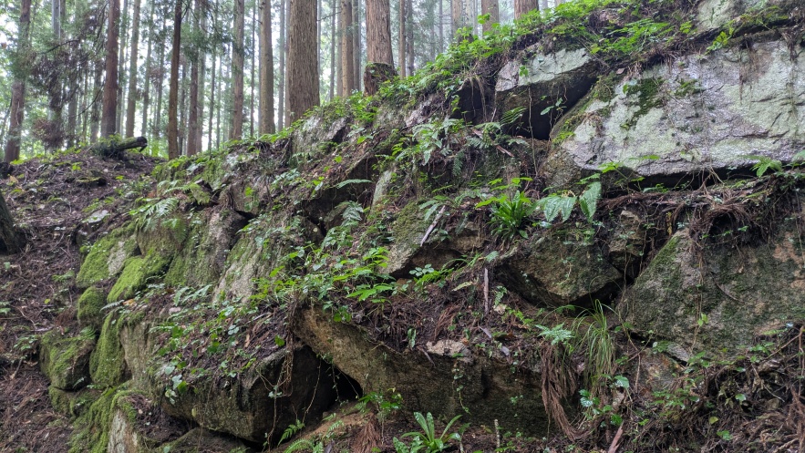 大手門の石垣