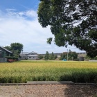 周囲には農耕地
