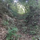 ③	本曲輪東側の空堀