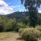 ⑧	高良山（高良大社）を見上げる