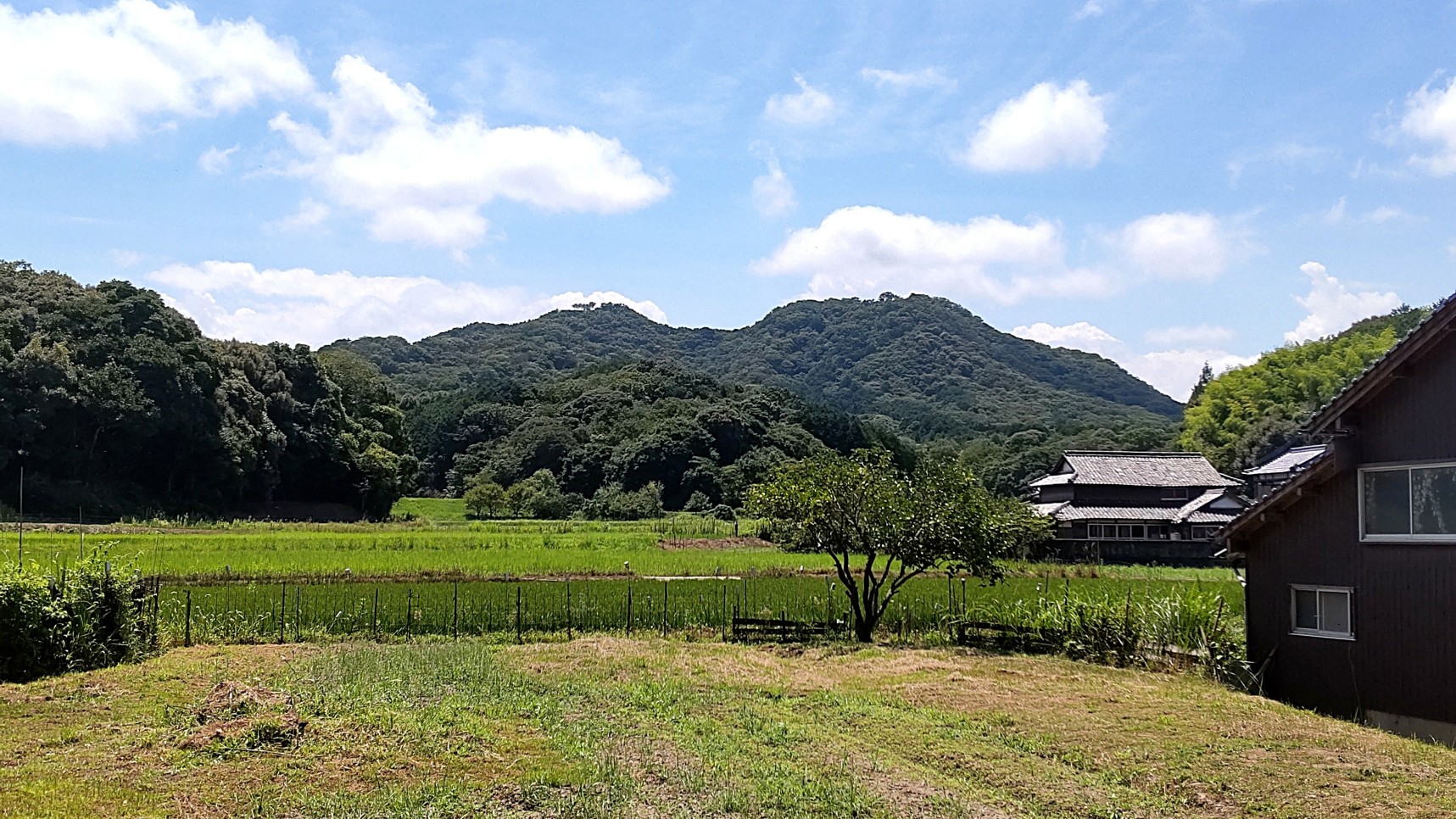 ①	馬ヶ岳城全景（麓のあぜ道より）