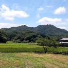 ①	馬ヶ岳城全景（麓のあぜ道より）