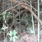 ③	元親が築いたと思われる石垣跡