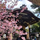 ⑥	豊国神社（豊臣秀吉墓所跡）