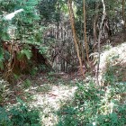 ④	登城路を遮断する堀切