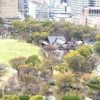 ⑧	天守最上階から西ノ丸を見下ろす（秀長屋敷跡）
