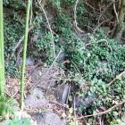 ④	元親が築いたと思われる石垣跡