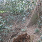 北側の堀と土塁
